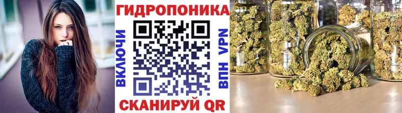 Бошки марихуана ГИДРОПОН  Тулун 